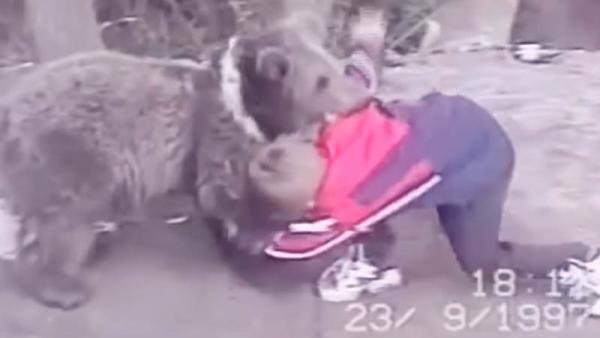Beredar video Khabib Nurmagomedov kecil bertarung dengan beruang. (Foto: Sportbible)