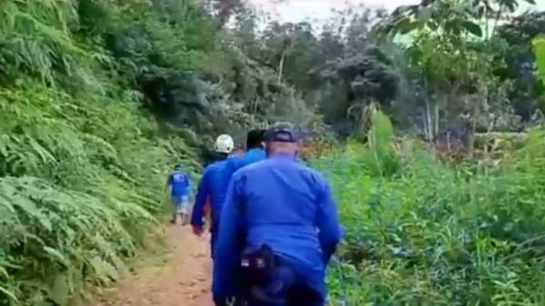 Pergi Memikat Burung di Hutan, 3 Orang di Limapuluh Kota ...