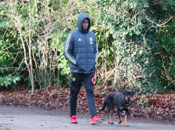 Paul Pogba mengajak anjing peliharaannya berjalan-jalan. (Foto: Twitter)