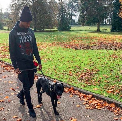 Rashford dan anjing Marcus Rashford bersama anjing penjaga miliknya yang diberi nama The Saint (foto: The Sun)