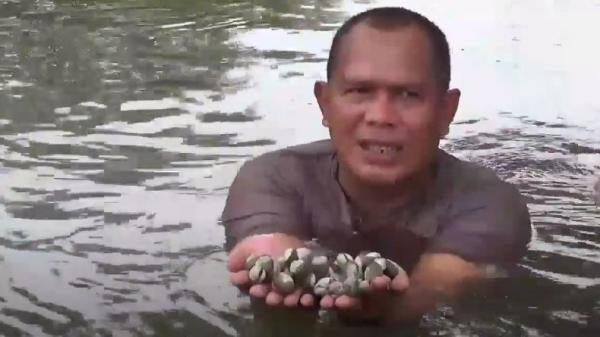 Polisi di Medan Ini Sukses Budidaya Kerang hingga Tembus Pasar