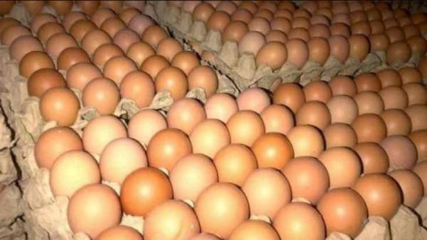 Harga Telur Ayam Ras  di Pasar Tradisional Ambon Turun Jadi 