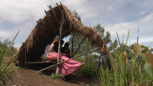 Kelok HP Agam-1 Pelajar memburu sinyal untuk belajar daring di Kelok HP, Agam, Sumatera Barat (Wahyu Sikumbang/iNews)