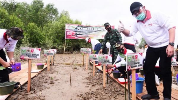 Gubernur Sumsel Herman Deru Tanam Mangrove (Bambang Irawan/iNews)