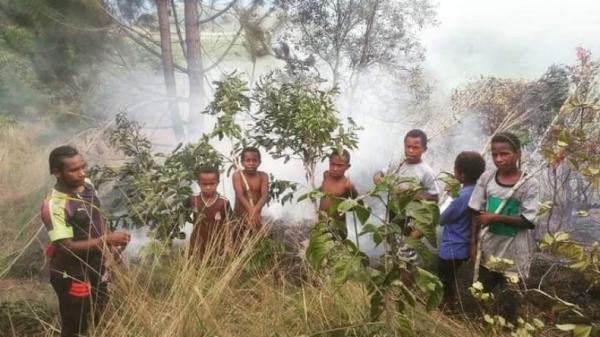 Bocah SD di Papua mencoba padamkan kebakaran di Kebun Raya Biologi, Taman LIPI Wamena di Kawasan Perbukitan Gunung Susu, Wamena, Kabupaten Jayawijaya (Chanry Andrew/iNews)