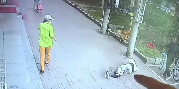 Pria di China sempat tak sadarkan diri usai tertimpa kucing jatuh dari atas apartemen. (foto: The Sun)