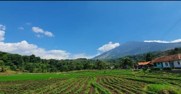 Terpikat Keindahan Desa Wisata Cibuntu di Lereng Gunung Ciremai