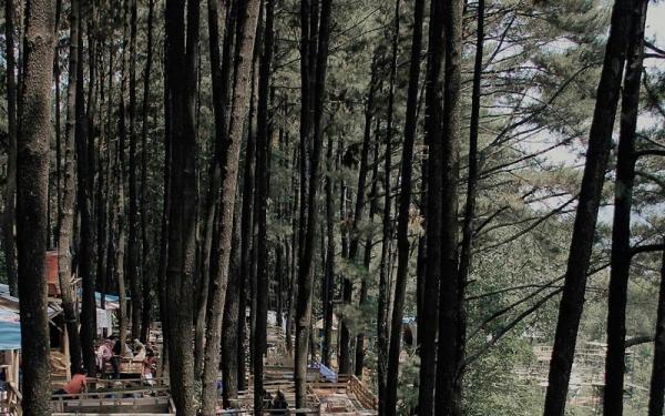 Gunung Pancar (Foto: Instagram IG@bogorkeun)