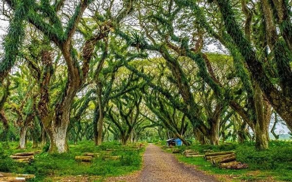 (Foto: Instagram IG@saita_yoko)