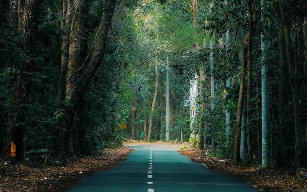 Taman Nasional Alas Purwo (Foto: Instagram IG@tuhrysm)