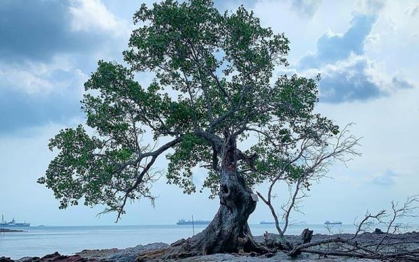 IG@ilvanhalim (iNews.id/esa putra tanjung)