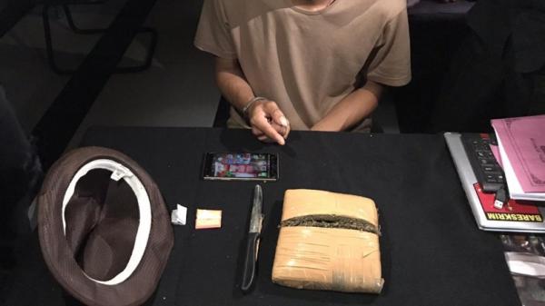 Ganja Narkoba ganja yang diamankan dari tangan pegawai honorer damkar OKU (Widori Agustino/iNews)