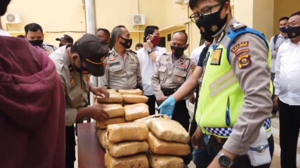 Ganja Kasus ganja 748 kg (Amri Wijaya/iNews)