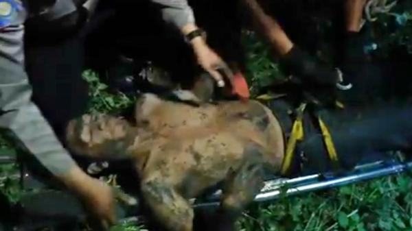 Korban terjebur Korban yang jatuh di saptic tank diselamatkan petugas gabungan (Puji Hartono/iNews)