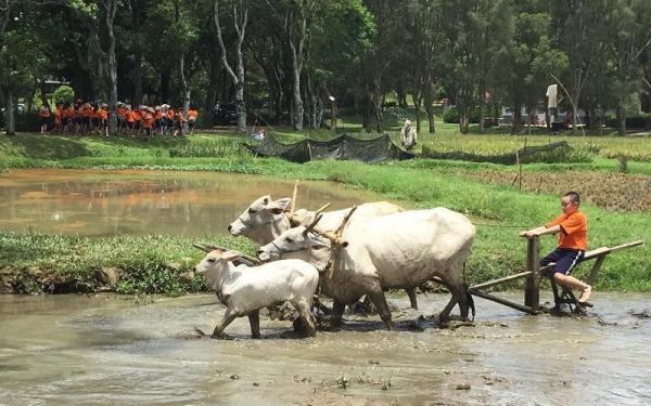 (Foto: Instagram IG@hioesamuel)