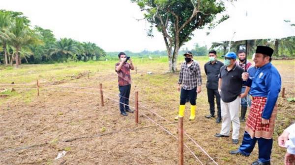 Gubernur Sumatera Selatan Herman Deru di OKI untuk memantau pembangunan masjid orang tuanya, Masjid Al Hayza (Humas Pemprov Sumsel)