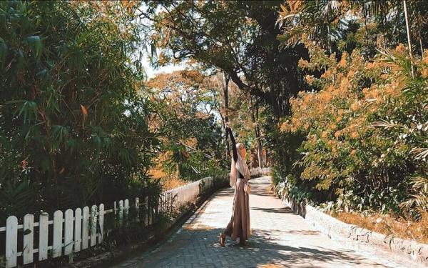 Kebun Binatang Surabaya (Foto: IG@saviramida)