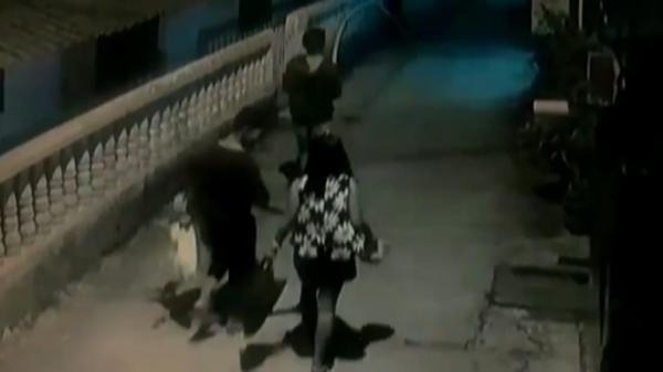 Aksi pencuri tanaman hias di Palembang, Sumsel (Firdaus/iNews)