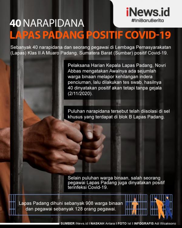 WhatsApp Image 2020 11 02 At 20 22 27