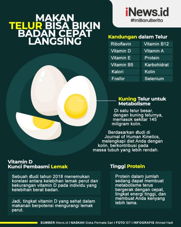 Grafis Telur Hasil F1 GP Turki