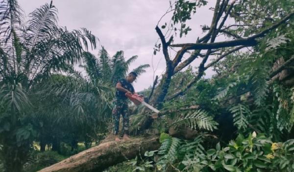 Posko Pilkada Kapuas Hulu di Kodim 1206 Putussibau tertimpa pohon tumbang. (Antara)