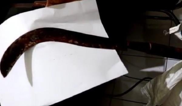 2 Duel buleleng Badik yang digunakan tersangka perkelahian maut di Buleleng, Bali. (iNews.id/Pande Wismaya)