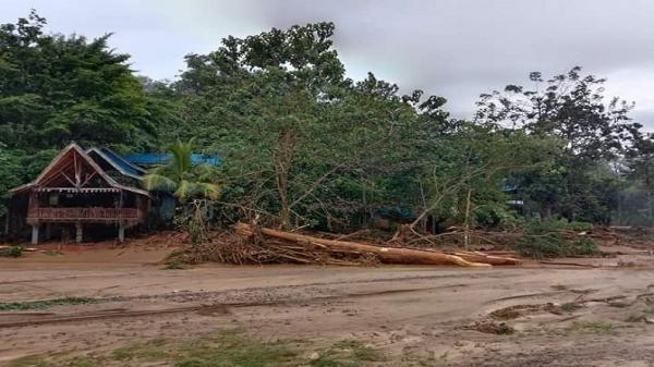 Banjir Bandang Landa Bukit Lawang, Kayu Gelondongan dan ...