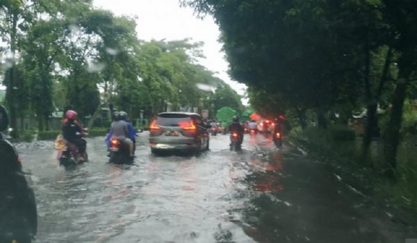 Banjir jalan pontianak Banjir menggenangi sejumlah jalan protokol di Pontianak, Kalimantan Barat, Kamis (19/11/2020). (Antara)