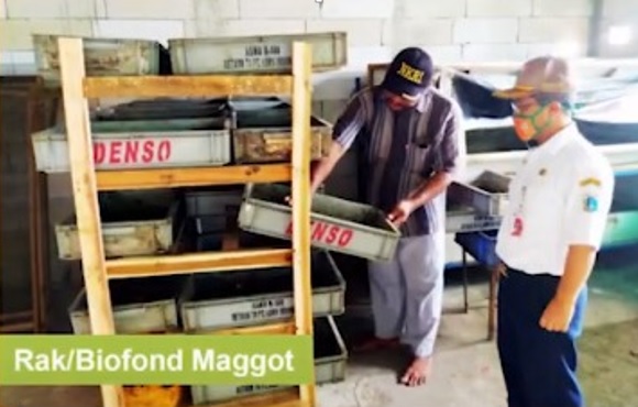 Budi daya maggot. (Foto: Dinas LH DKI).