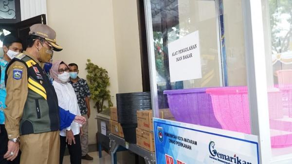 WhatsApp Image 2020 11 25 At 18 15 57