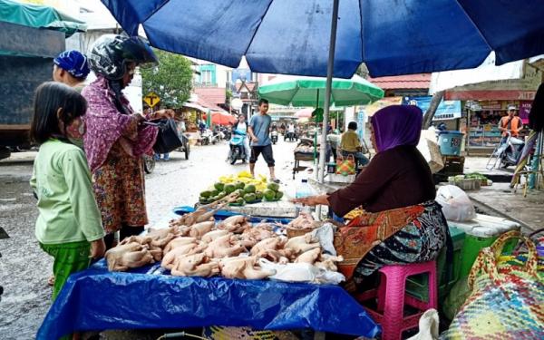 Harga Ayam Potong di Pasar Tradisional Banjarbaru Relatif Normal, Rp26