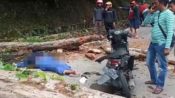 Tewas tertimpa pohon Mahasiswa di Padang, Sumbar tewas tertimpa pohon (Budi Sunandar/iNews)