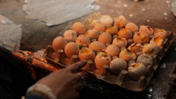 Ilustrasi telur ayam ras. (Foto: Istimewa)