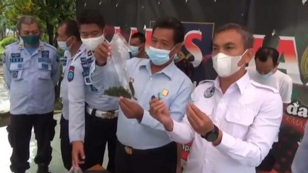 Kalapas Kelas2B Cianjur Heri Aris Susilo dan Kasatres Narkoba AKP Ali Jupri menunjukkan sabu dan sayur tumis kangkung yang hendak diselundupkan TC. (Foto: iNewsTv/M Andi Ichsyan)