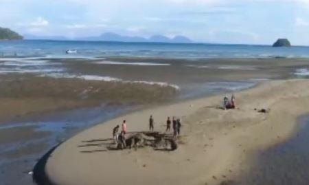 Video Bangkai Paus Balin Ditemukan di Pantai Lambaro Aceh