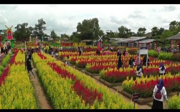  Taman Celosia Spot Instagramable Terbaru di Pinggiran 