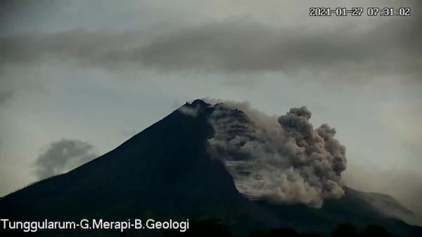 Gunung Merapi erupsi besar dengan mengeluarkan awan panas guguran (APG) sebanyak 36 kali, Rabu (27/1/2021). (Foto: BPPTKG)