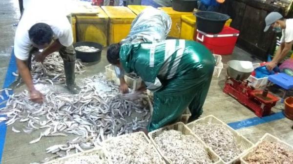 Tahun 2012 Dibuka Jokowi Pasar Ikan Balekambang Kembali Diaktifkan