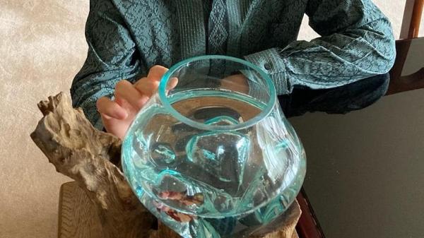 Ikan cupang peliharaan Duta Besar Jepang untuk Indonesia Kanasugi Kenji. (Foto: Instagram)