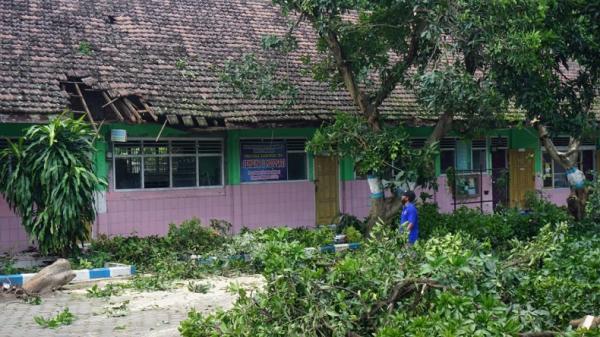 Petugas membersihkan pohon yang tumbang akibat diterjang puting beliung di Desa Jotangan, Kecamatan Mojosari, Kabupaten Mojokerto. (Foto: SINDOnews/Tritus Julan)