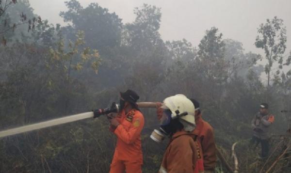 Petugas Tim SAR Pontianak memadamkan kebakaran hutan dan lahan (karhutla) di Desa Limbung, Kecamatan Sungai Raya, Kabupaten Kubu Raya. (Foto: SAR Pontianak)