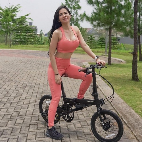 Vania Kondisi banjir Karawang dan Bekasi akibat tanggul jebol melalui pantuan udara. (Foto screenshot video BNPB).