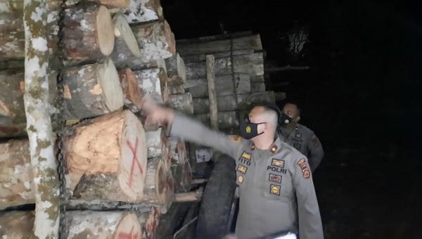 Direskrimsus Polda Jambi mengamankan lima unit truk yang mengangkut puluhan kayu hasil illegal logging di kawasan Jalan Lingkar Barat, Kotabaru, Jambi. (Foto: Istimewa)