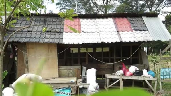 Gubuk Abdullah di samping kandang sapi. (Foto: iNews/Sukri Syarifuddin)