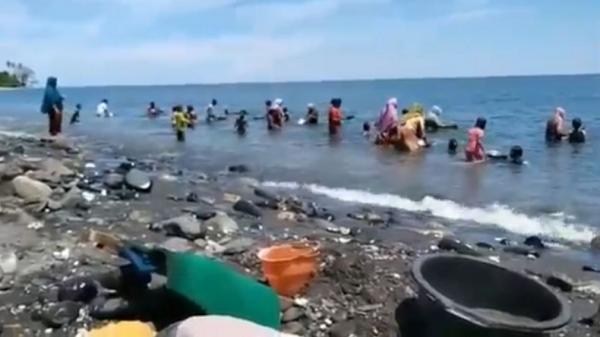 Warga Negeri Tamilouw, Kecamatan Amahai berbondong-bondong mendulang emas di Pantai Pohon Batu. (Foto: iNews/Nurdin Abdullah)