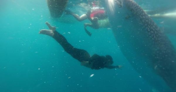 IMG 26032021 143949 822 X 430 Piksel