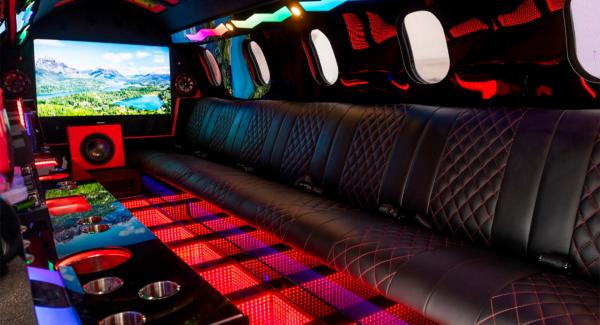 Lear Jet Limo 5