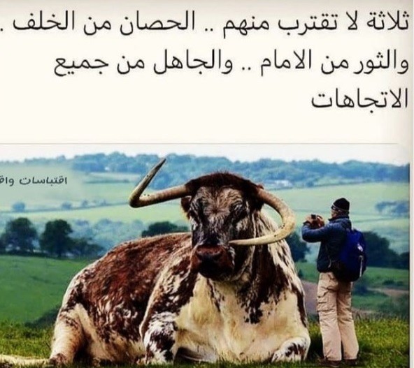 Banteng Polisi mengimbau para demonstran di Jayapura membubarkan diri. (Foto: Antara).