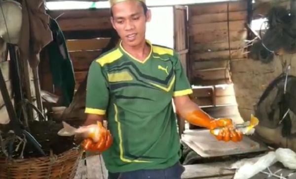 Ikan di keramba warga di Sungai Mahakam, Palaran, Samarinda, Kalimantan Timur mati tercemar limbah minyak kelapa sawit. (Foto: iNews.id/Fuji Mustopan)