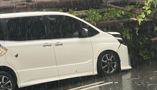 Screenshot 20210412 054853 Instagram